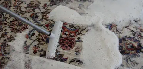 Teppichreinigung Darmstadt – Professionell & zuverlässig